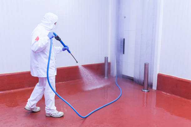 Best Roof Cleaning and Mildew Removal in Columbus, MN